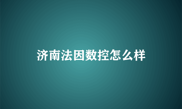 济南法因数控怎么样