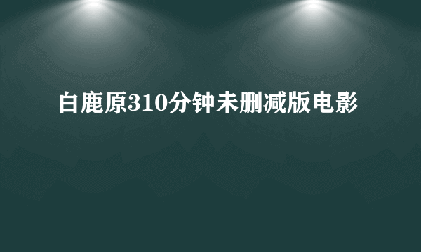 白鹿原310分钟未删减版电影