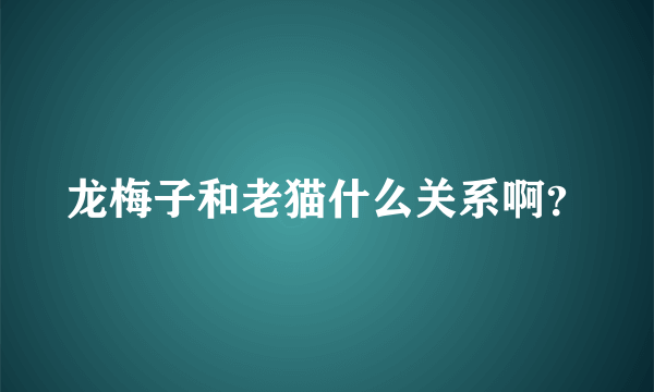 龙梅子和老猫什么关系啊？