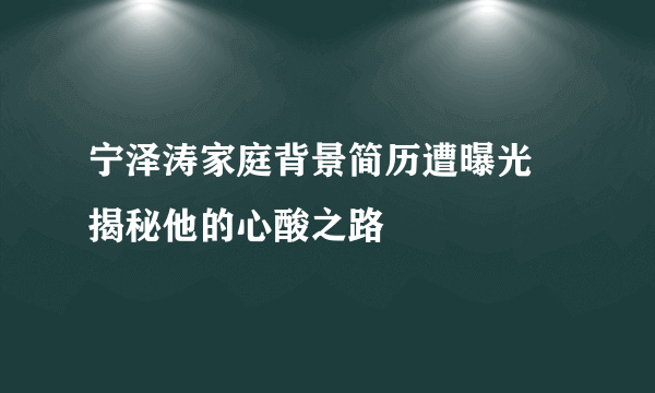 宁泽涛家庭背景简历遭曝光  揭秘他的心酸之路