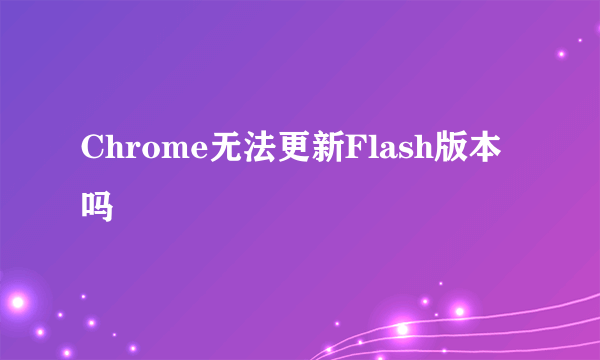 Chrome无法更新Flash版本吗