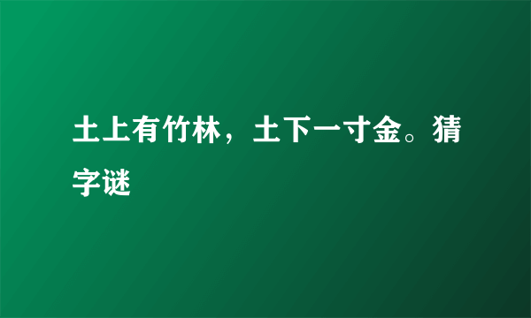 土上有竹林，土下一寸金。猜字谜