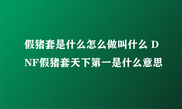 假猪套是什么怎么做叫什么 DNF假猪套天下第一是什么意思