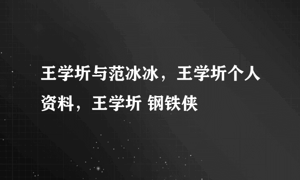 王学圻与范冰冰，王学圻个人资料，王学圻 钢铁侠