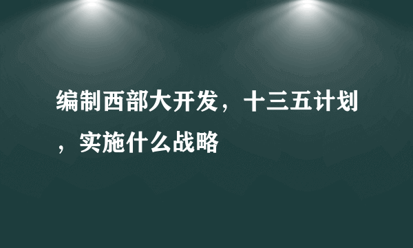 编制西部大开发，十三五计划，实施什么战略