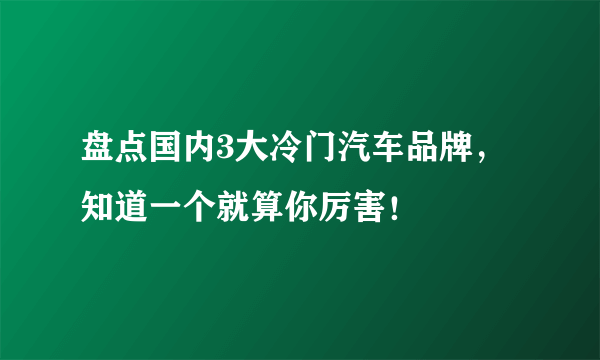 盘点国内3大冷门汽车品牌，知道一个就算你厉害！