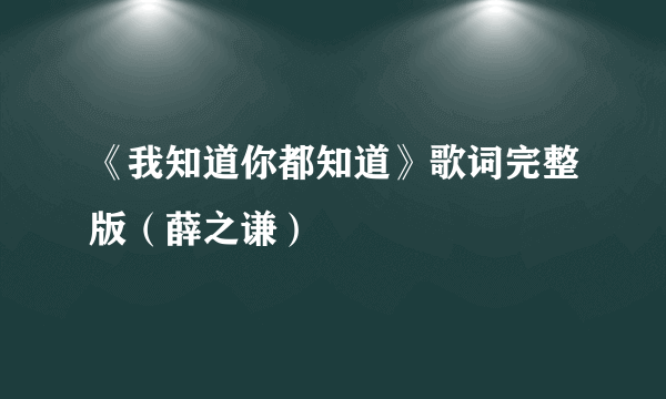 《我知道你都知道》歌词完整版（薛之谦）