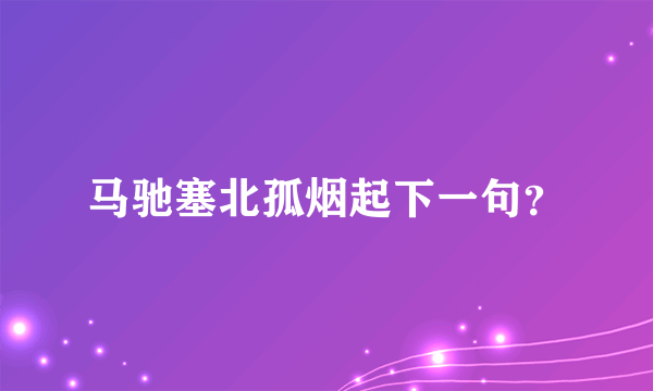 马驰塞北孤烟起下一句？