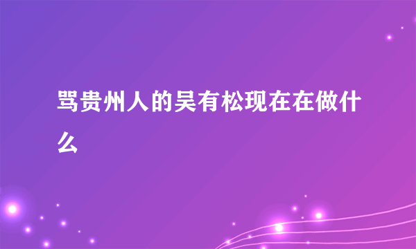 骂贵州人的吴有松现在在做什么