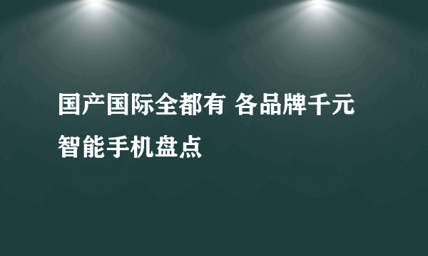 国产国际全都有 各品牌千元智能手机盘点