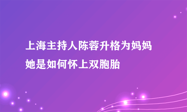 上海主持人陈蓉升格为妈妈   她是如何怀上双胞胎