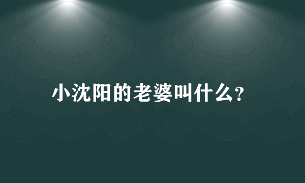 小沈阳的老婆叫什么？