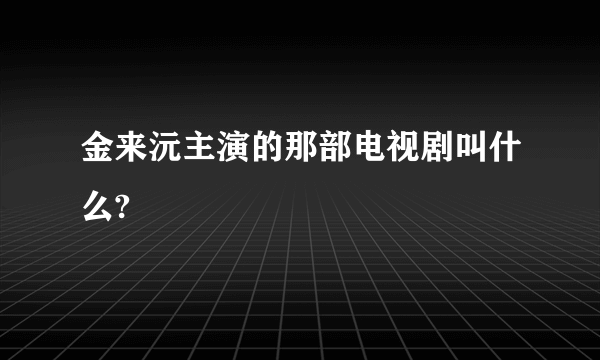 金来沅主演的那部电视剧叫什么?