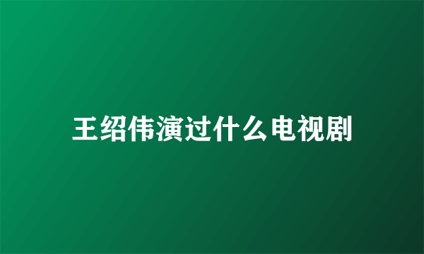 王绍伟演过什么电视剧