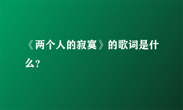 《两个人的寂寞》的歌词是什么？