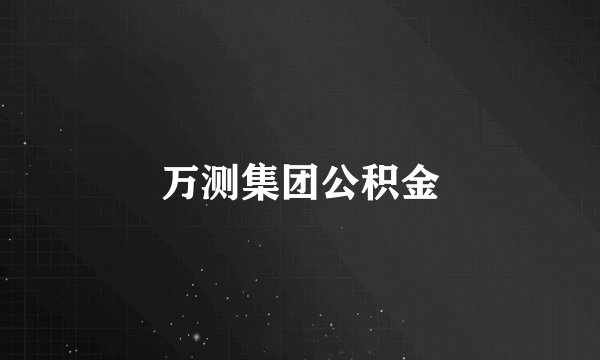 万测集团公积金