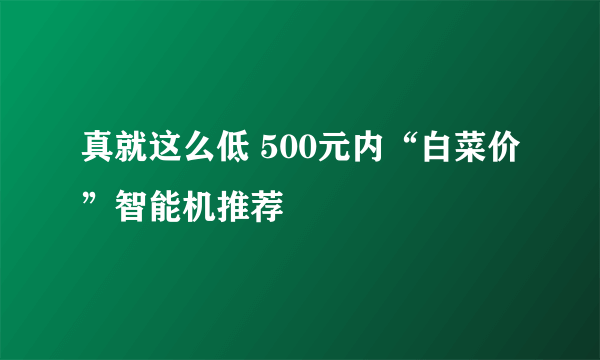 真就这么低 500元内“白菜价”智能机推荐