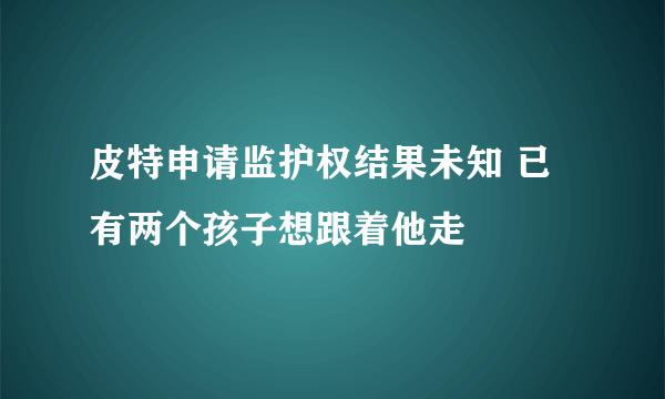 皮特申请监护权结果未知 已有两个孩子想跟着他走