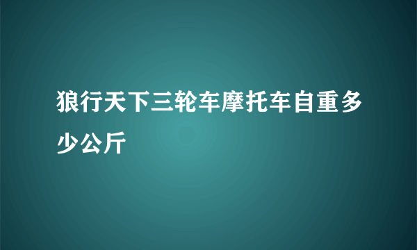 狼行天下三轮车摩托车自重多少公斤