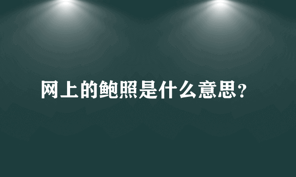 网上的鲍照是什么意思？