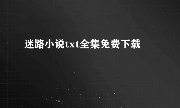 迷路小说txt全集免费下载