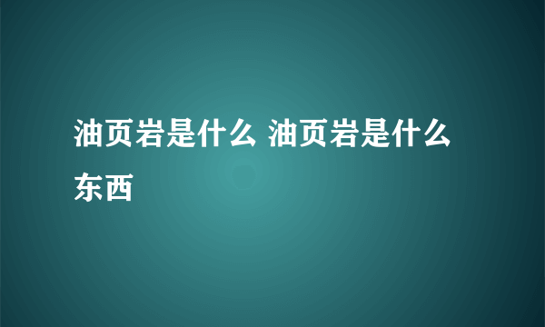 油页岩是什么 油页岩是什么东西