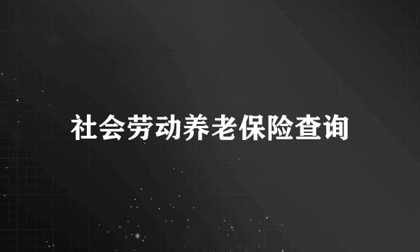 社会劳动养老保险查询