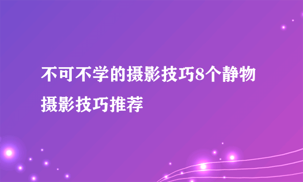 不可不学的摄影技巧8个静物摄影技巧推荐