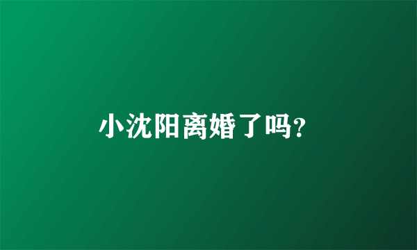 小沈阳离婚了吗？