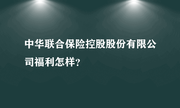 中华联合保险控股股份有限公司福利怎样？