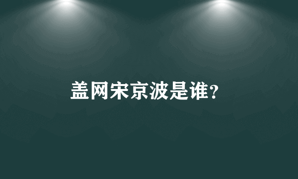 盖网宋京波是谁？