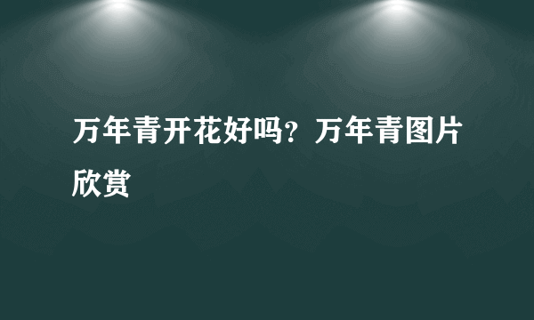 万年青开花好吗？万年青图片欣赏