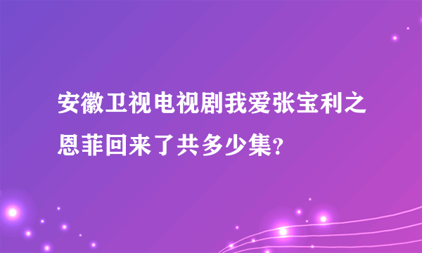 安徽卫视电视剧我爱张宝利之恩菲回来了共多少集？