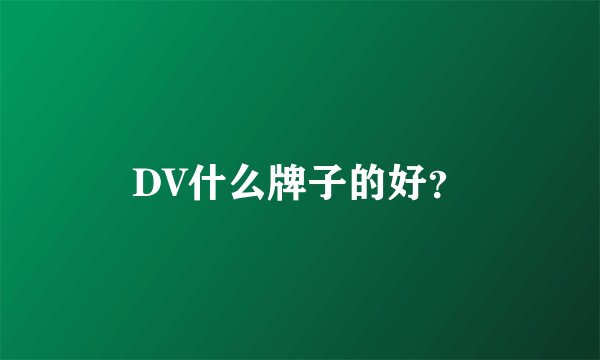 DV什么牌子的好？