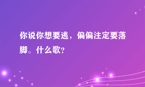 你说你想要逃，偏偏注定要落脚。什么歌？