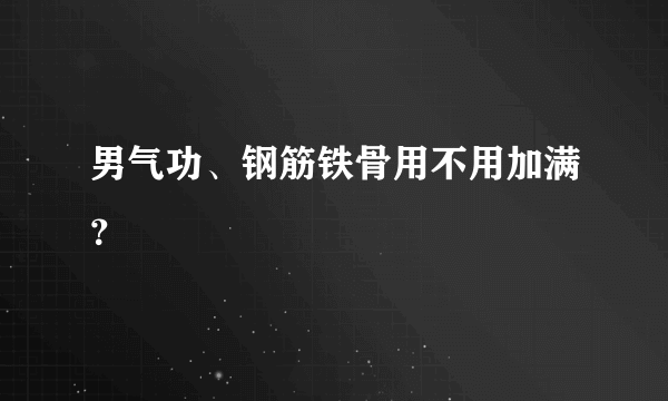 男气功、钢筋铁骨用不用加满？