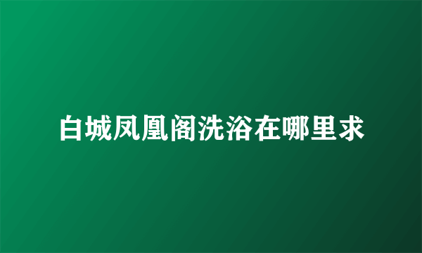 白城凤凰阁洗浴在哪里求