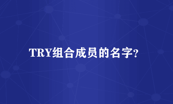 TRY组合成员的名字？