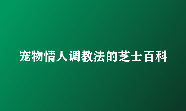 宠物情人调教法的芝士百科