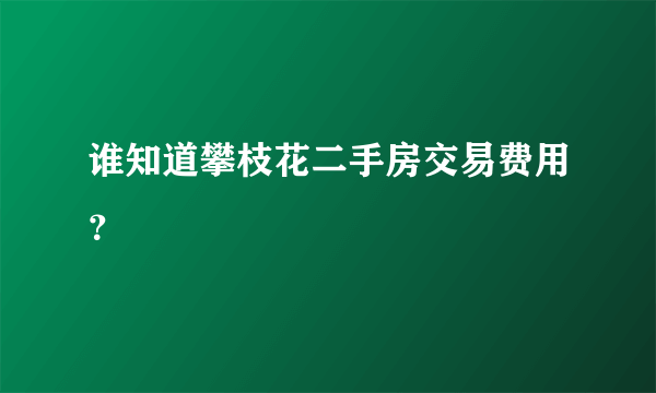 谁知道攀枝花二手房交易费用？