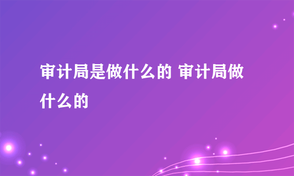 审计局是做什么的 审计局做什么的