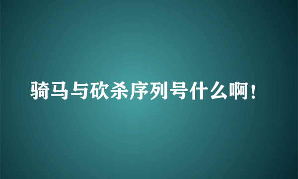 骑马与砍杀序列号什么啊！