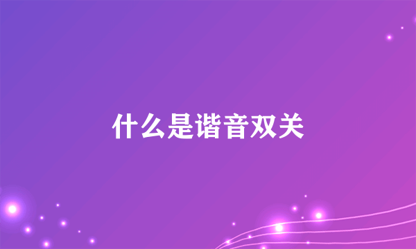 什么是谐音双关