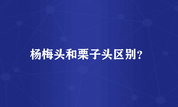 杨梅头和栗子头区别？