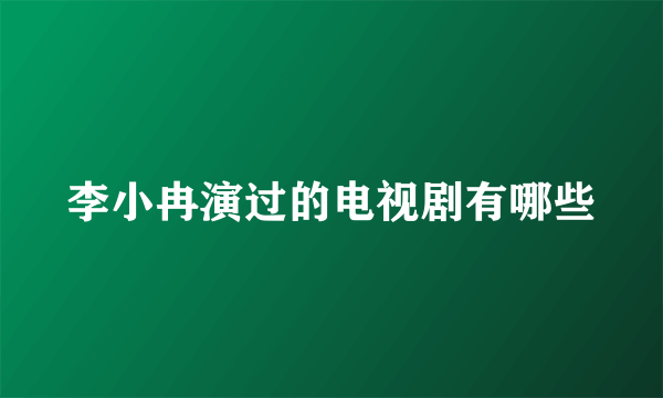 李小冉演过的电视剧有哪些