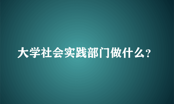 大学社会实践部门做什么？