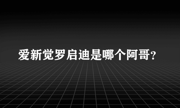 爱新觉罗启迪是哪个阿哥？