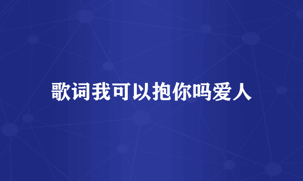 歌词我可以抱你吗爱人