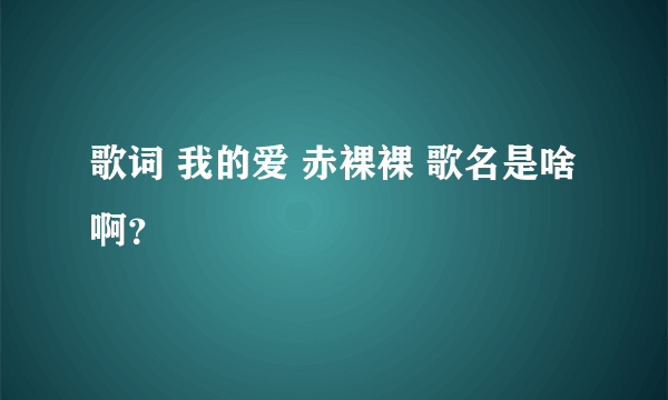 歌词 我的爱 赤裸裸 歌名是啥啊？