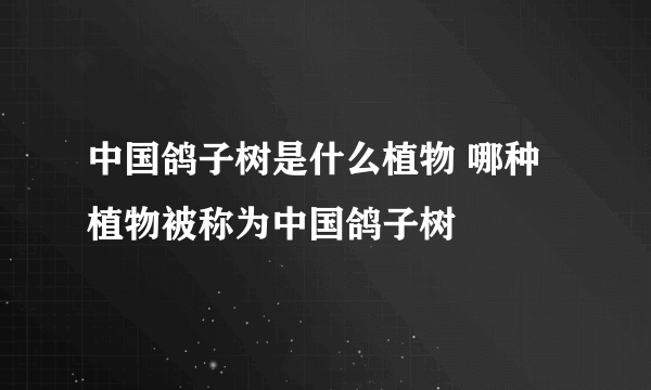 中国鸽子树是什么植物 哪种植物被称为中国鸽子树